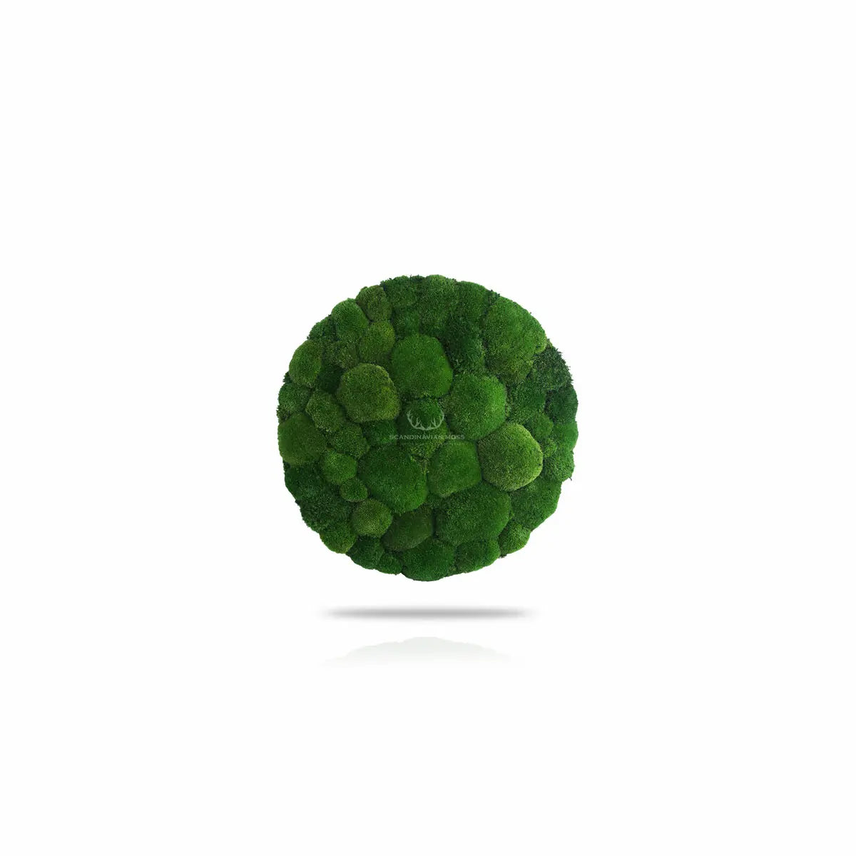 Frameless Pillow Moss Wall Panels Round on white background DecorMania.eu