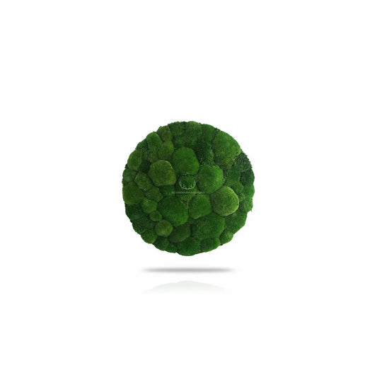 Frameless Pillow Moss Wall Panels Round on white background DecorMania.eu