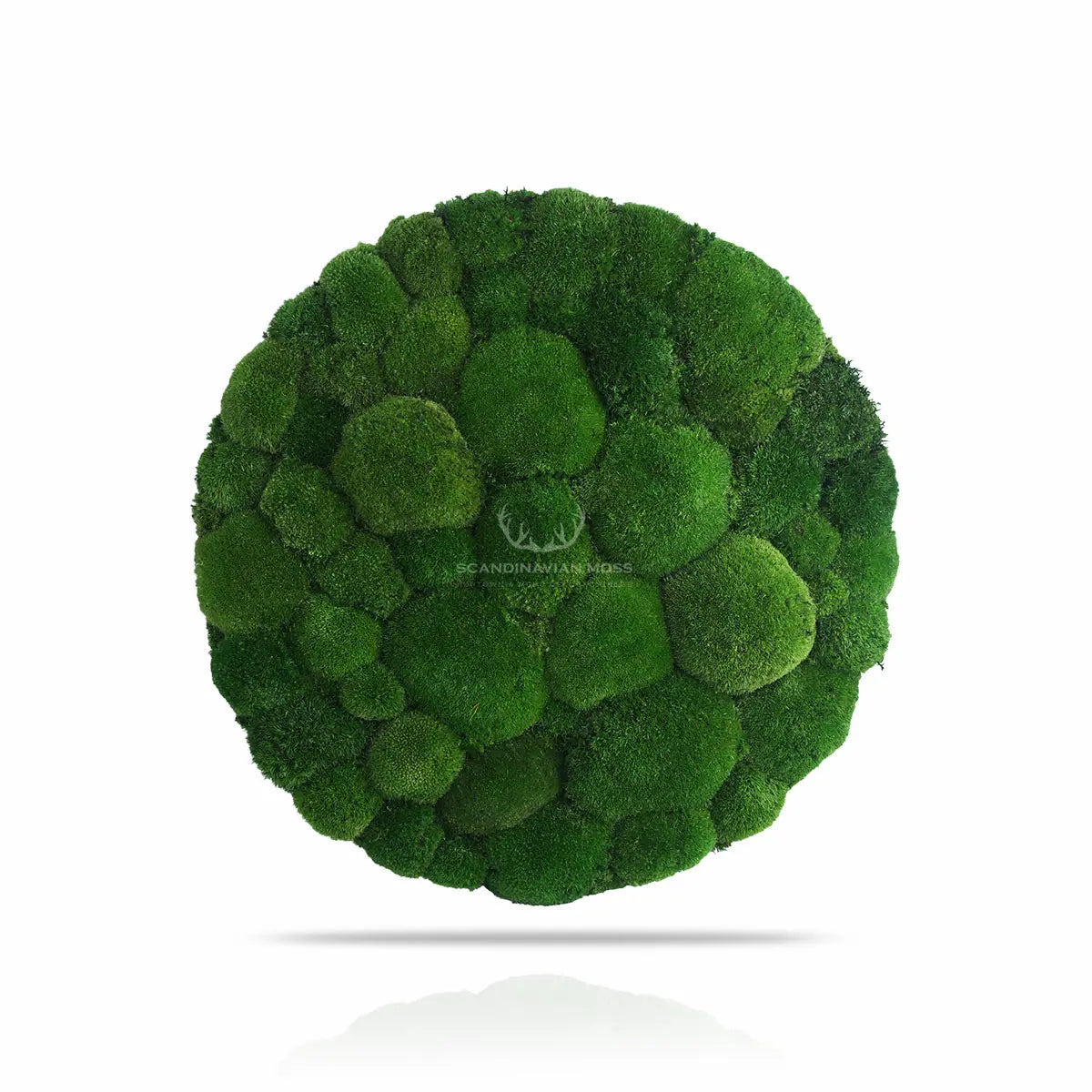 Frameless Pillow Moss Wall Panels Round on white background DecorMania.eu