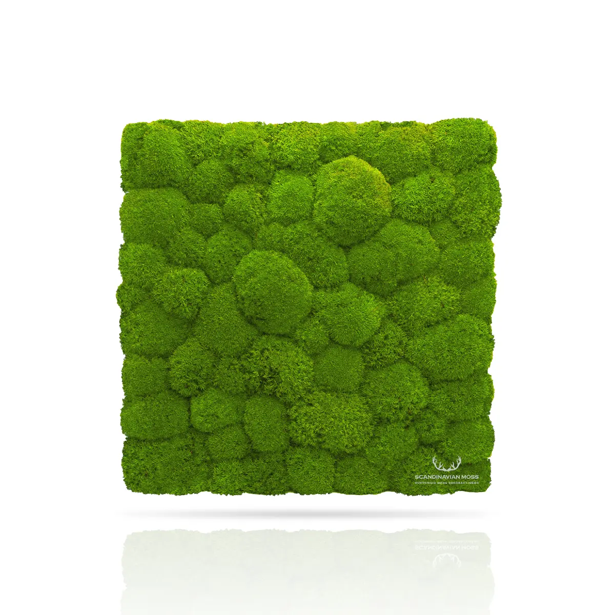 Frameless Pillow Moss Wall Panels Square light green swatch on white background DecorMania.eu