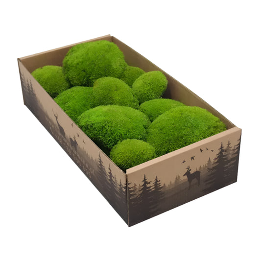 Frameless Pillow Moss Wall Panels Square in box on white background DecorMania.eu