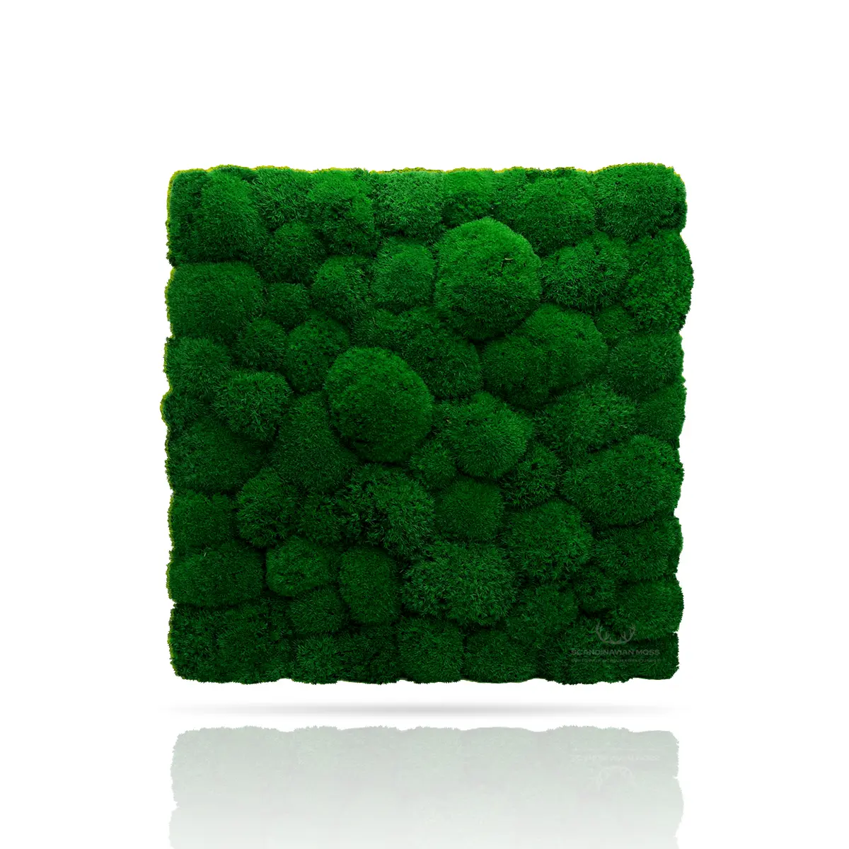 Frameless Pillow Moss Wall Panels Square green swatch on white background DecorMania.eu