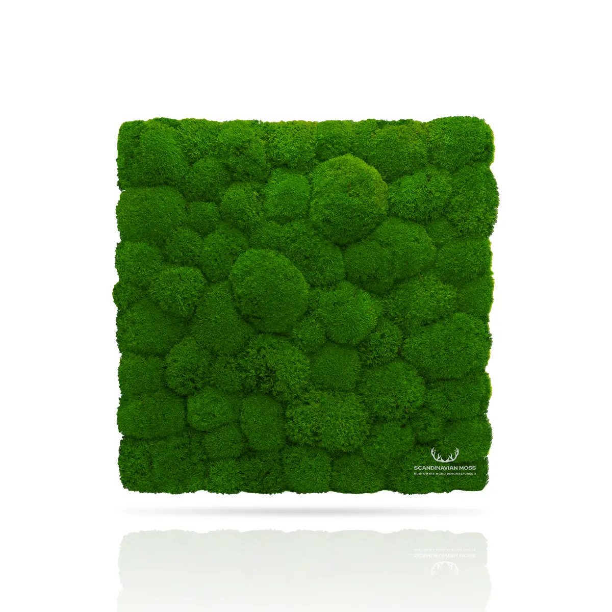 Frameless Pillow Moss Wall Panels green swatch Square DecorMania.eu