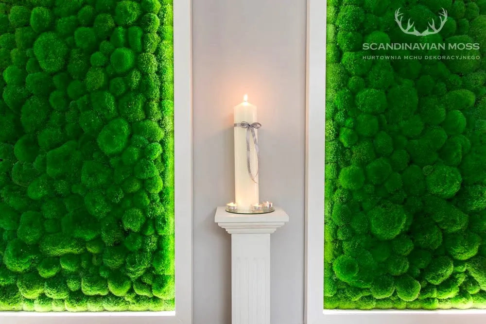 Frameless Pillow Moss Wall Panels Square decor on white wall DecorMania.eu