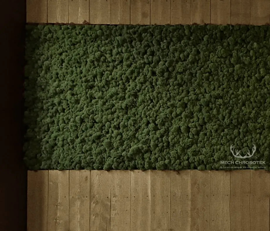 Frameless Reindeer Moss Wall Panels Rectangle combined with wood DecorMania.eu