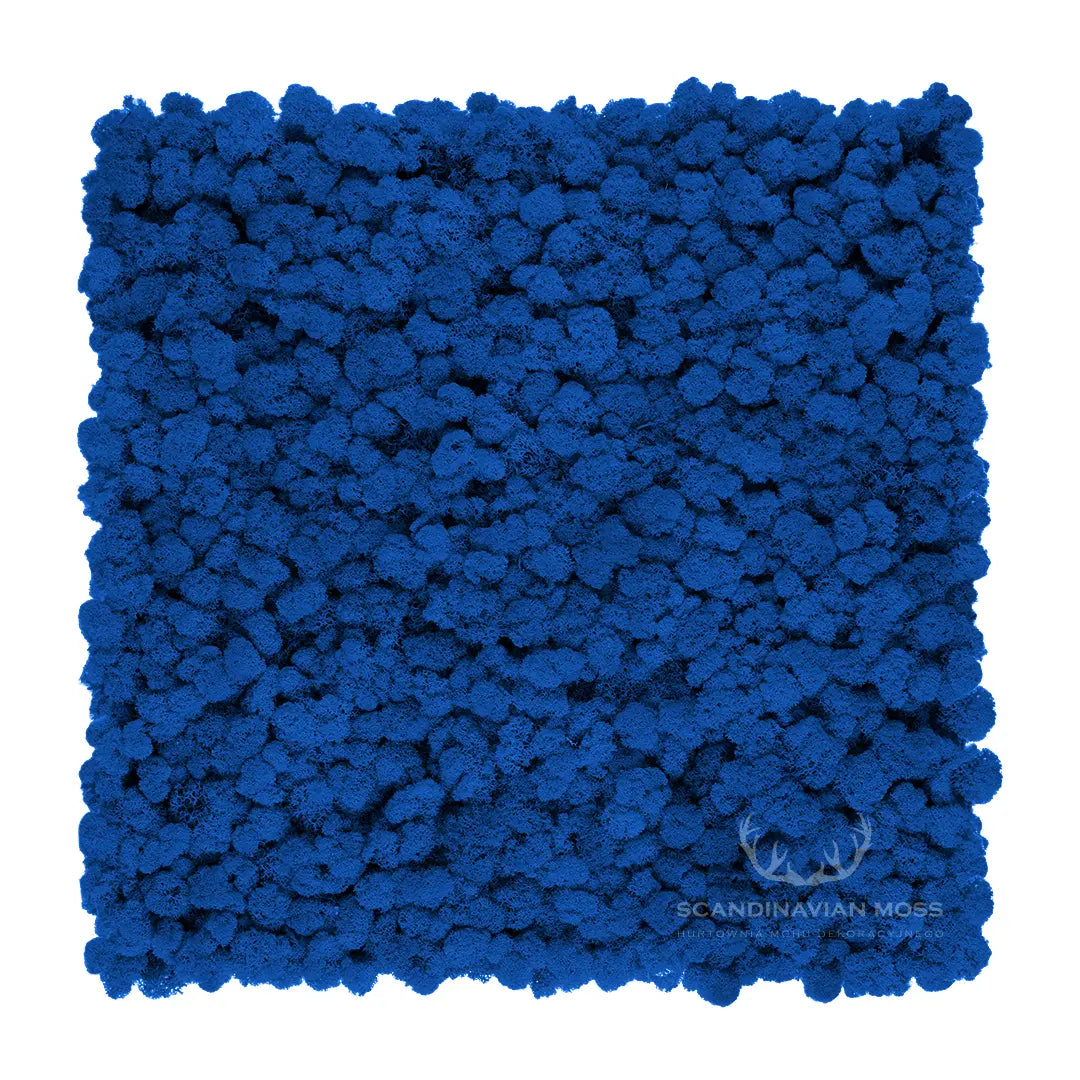 Frameless Reindeer Moss Wall Panels Rectangle DecorMania.eu