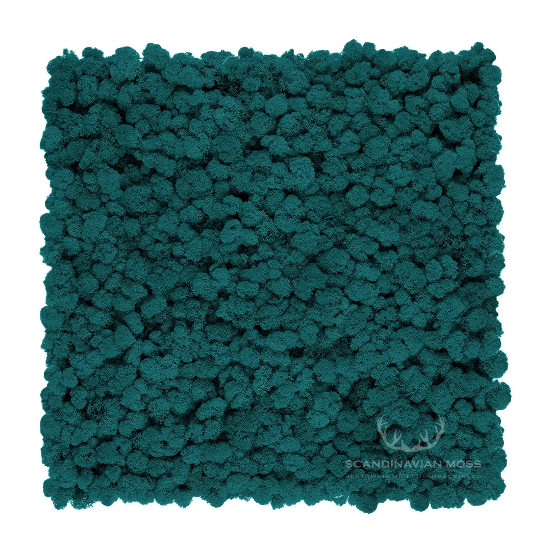 Frameless Reindeer Moss Wall Panels Rectangle DecorMania.eu