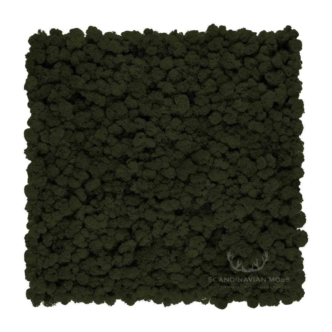 Frameless Reindeer Moss Wall Panels Rectangle DecorMania.eu