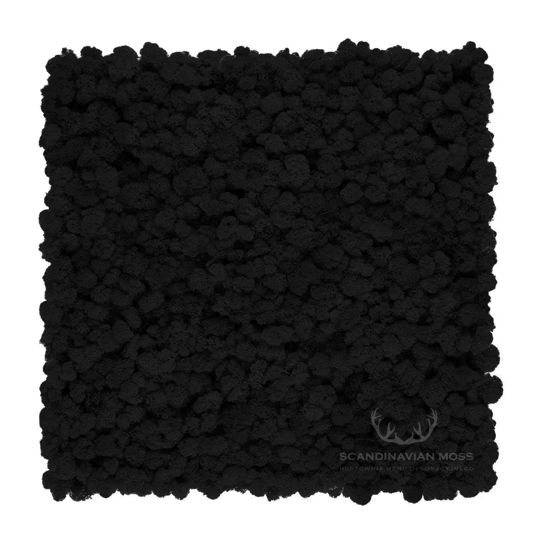 Frameless Reindeer Moss Wall Panels Rectangle DecorMania.eu