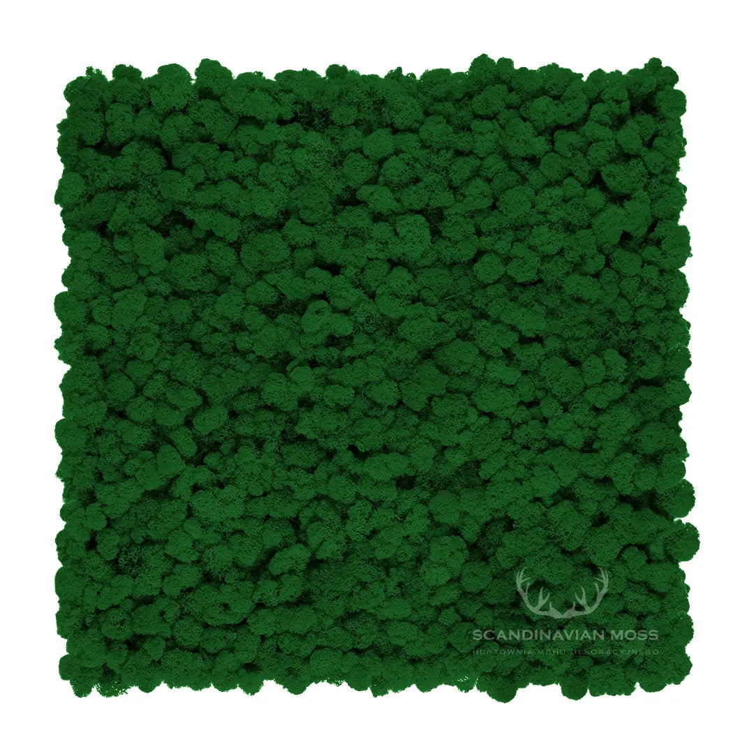 Frameless Reindeer Moss Wall Panels Rectangle colour swatch on white background DecorMania.eu