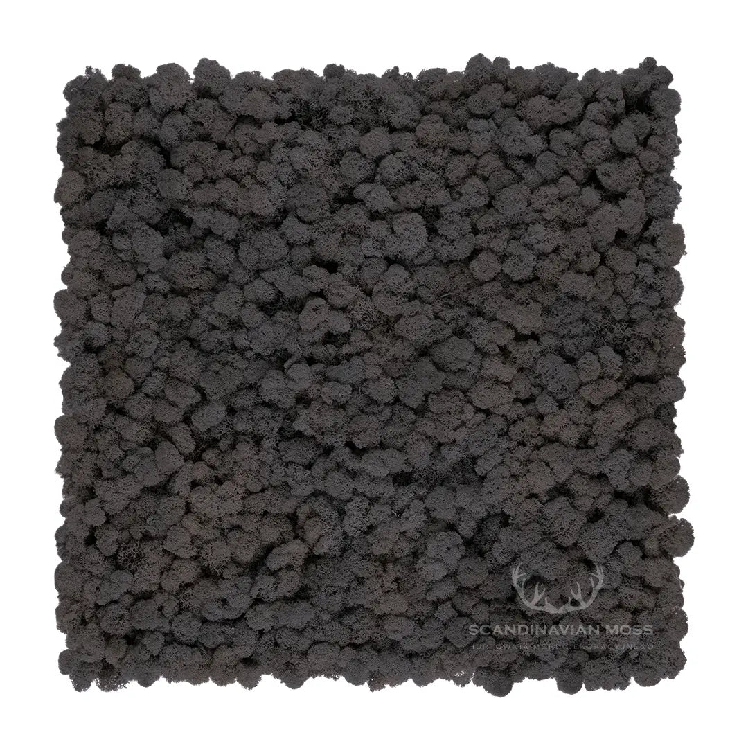 Frameless Reindeer Moss Wall Panels Rectangle DecorMania.eu
