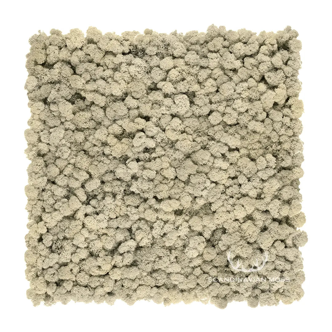 Frameless Reindeer Moss Wall Panels Rectangle DecorMania.eu