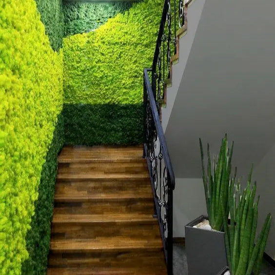 Frameless Reindeer Moss Wall Panels Rectangle staircase colour combination DecorMania.eu