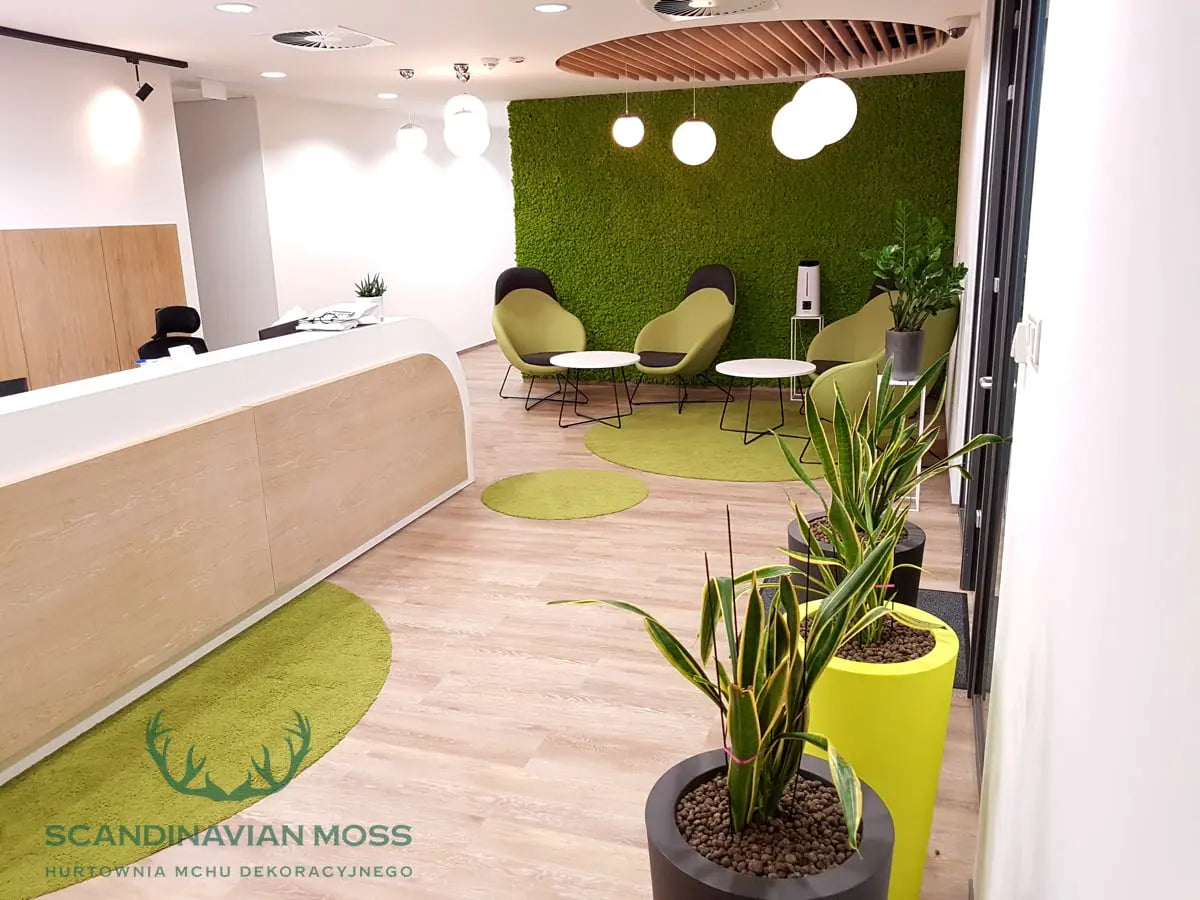 Frameless Reindeer Moss Wall Panels Rectangle in modern reception interior DecorMania.eu