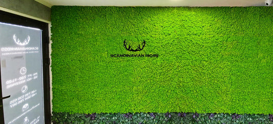 Frameless Reindeer Moss Wall Panels Rectangle accent wall with logo DecorMania.eu