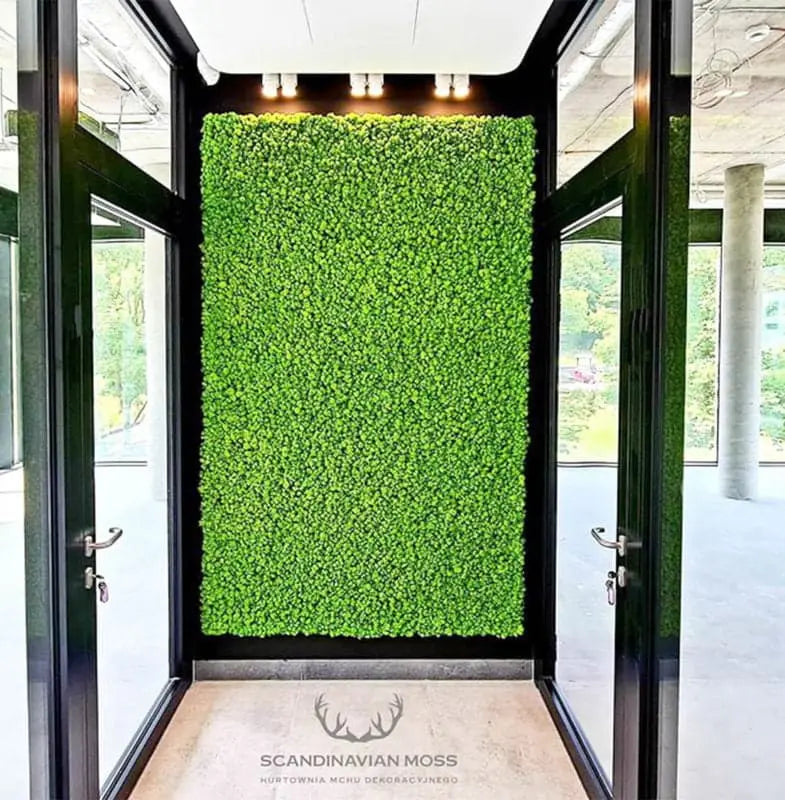 Frameless Reindeer Moss Wall Panels Rectangle hallway decor DecorMania.eu