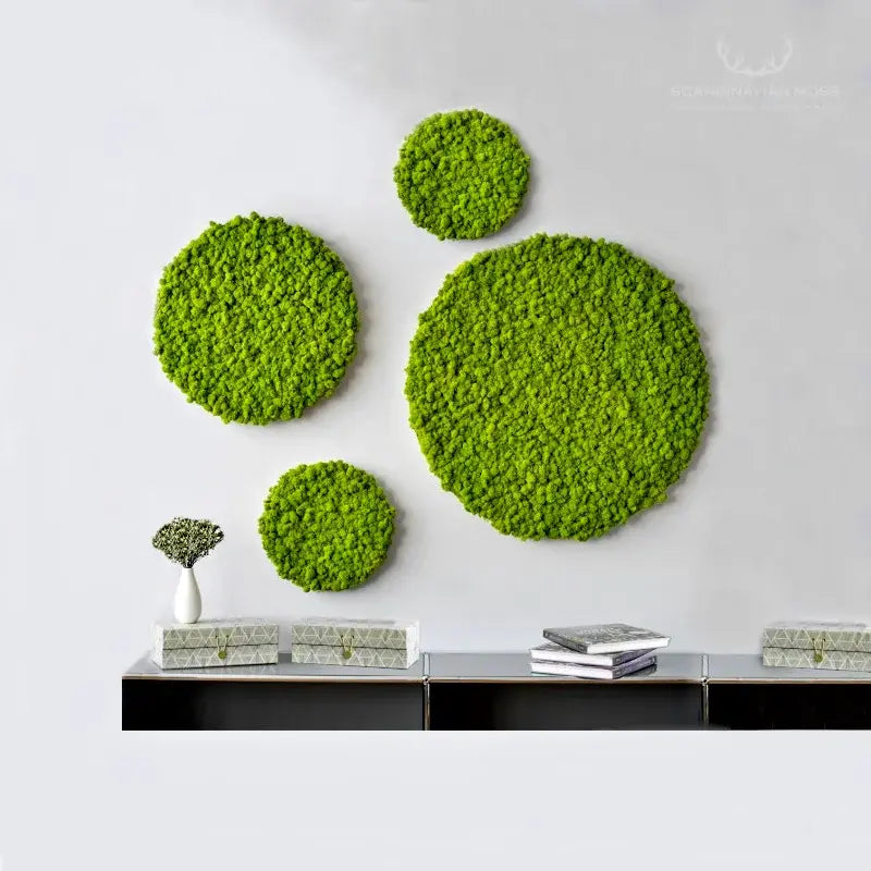 Frameless Reindeer Moss Wall Panels Round decor in interior DecorMania.eu