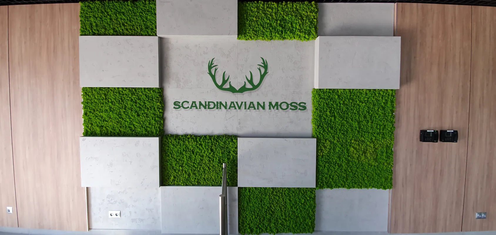 Frameless Reindeer Moss Wall Panels Square accent wall mixed materials DecorMania.eu