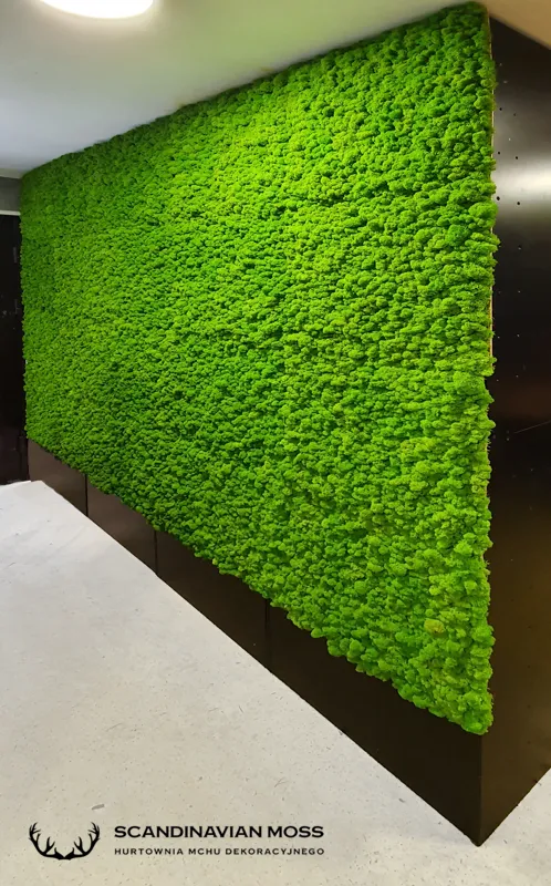 Frameless Reindeer Moss Wall Panels Square accent moss wall DecorMania.eu