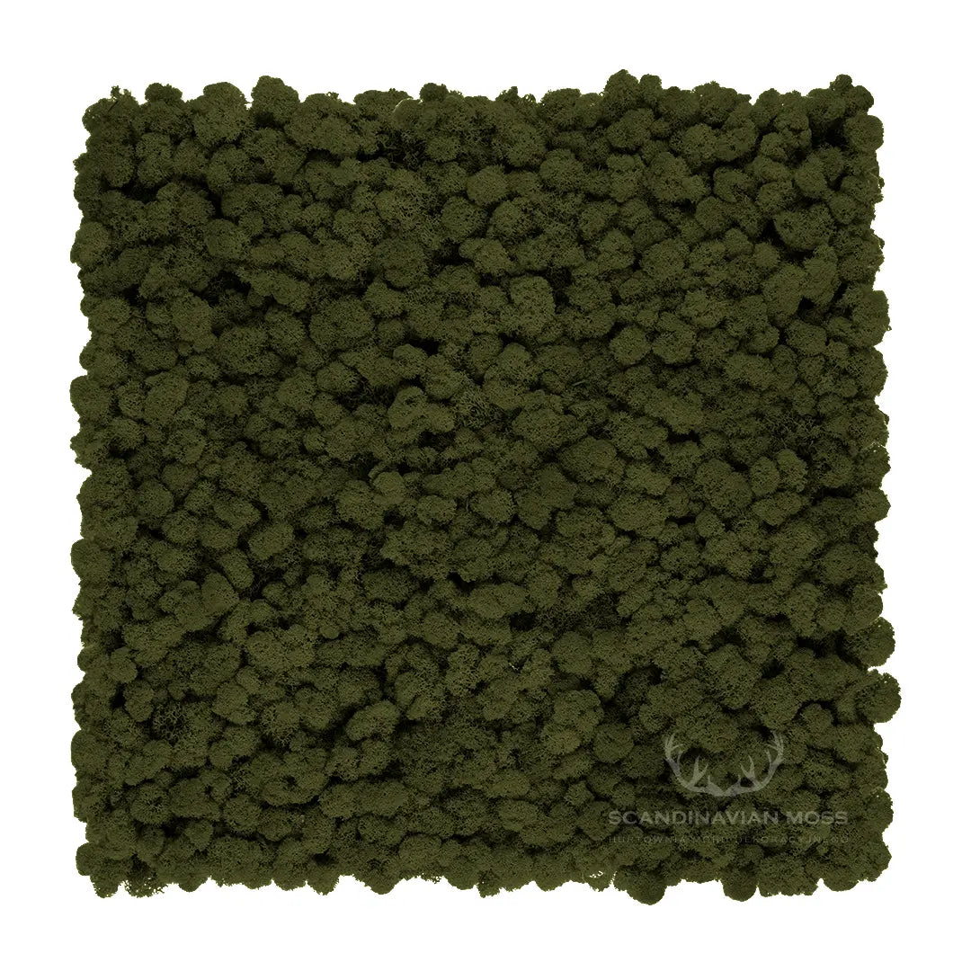 Frameless Reindeer Moss Wall Panels Square khaki on white background DecorMania.eu