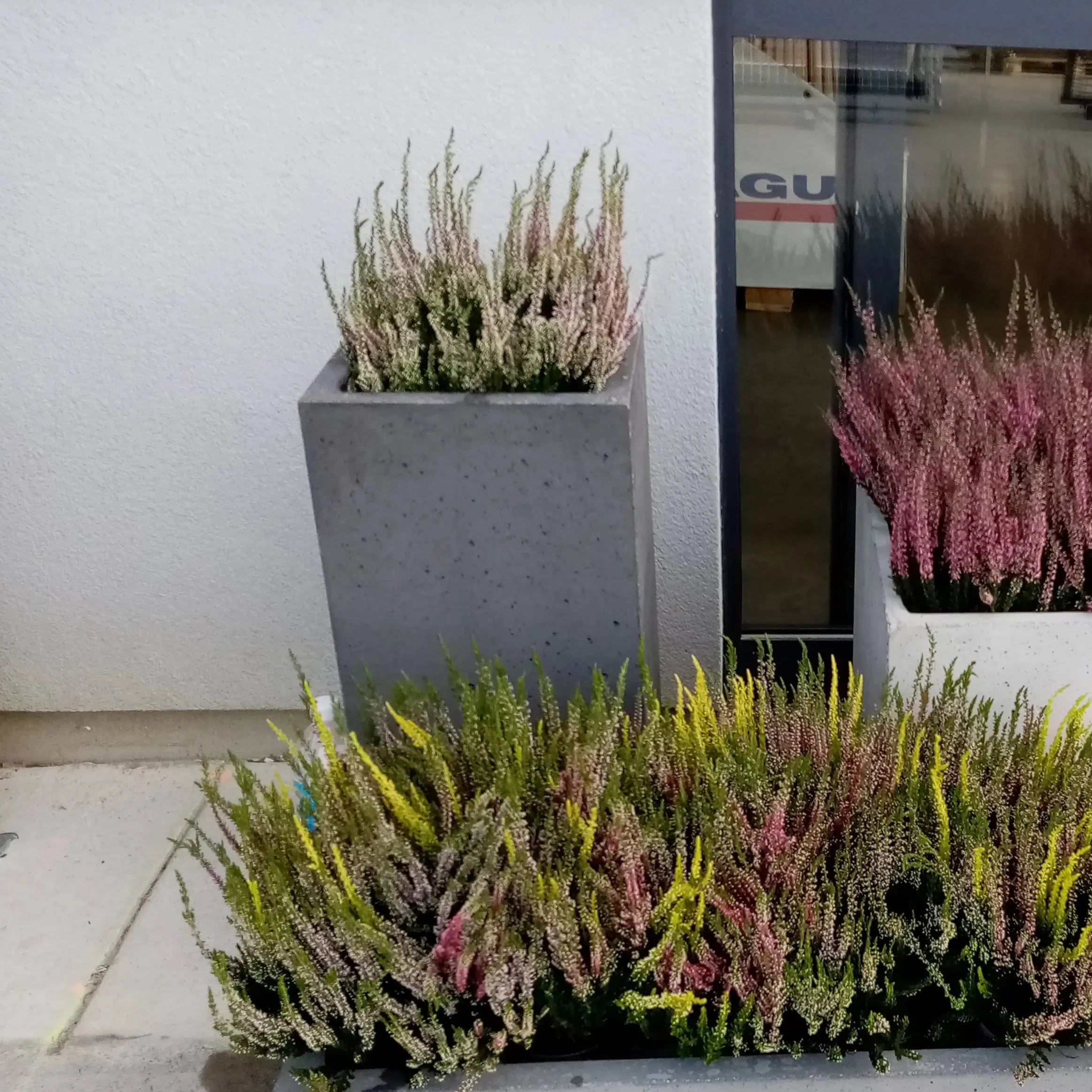 Outdoor Concrete Planters - Rectangle 50x120x50 cm in front of a wall Decormania.eu