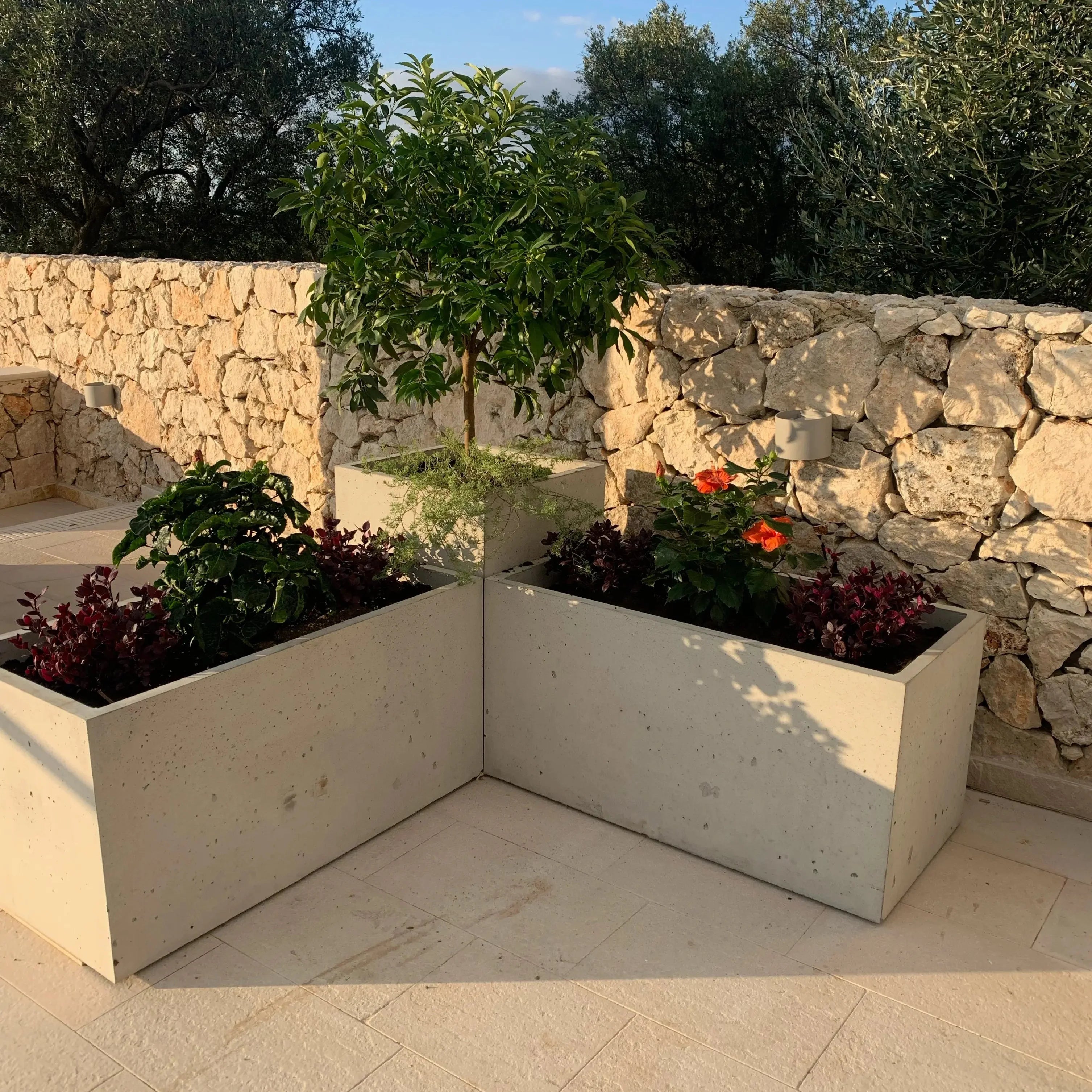 Outdoor Concrete Planters - Rectangle 50x120x50 cm composition in the backyard Decormania.eu