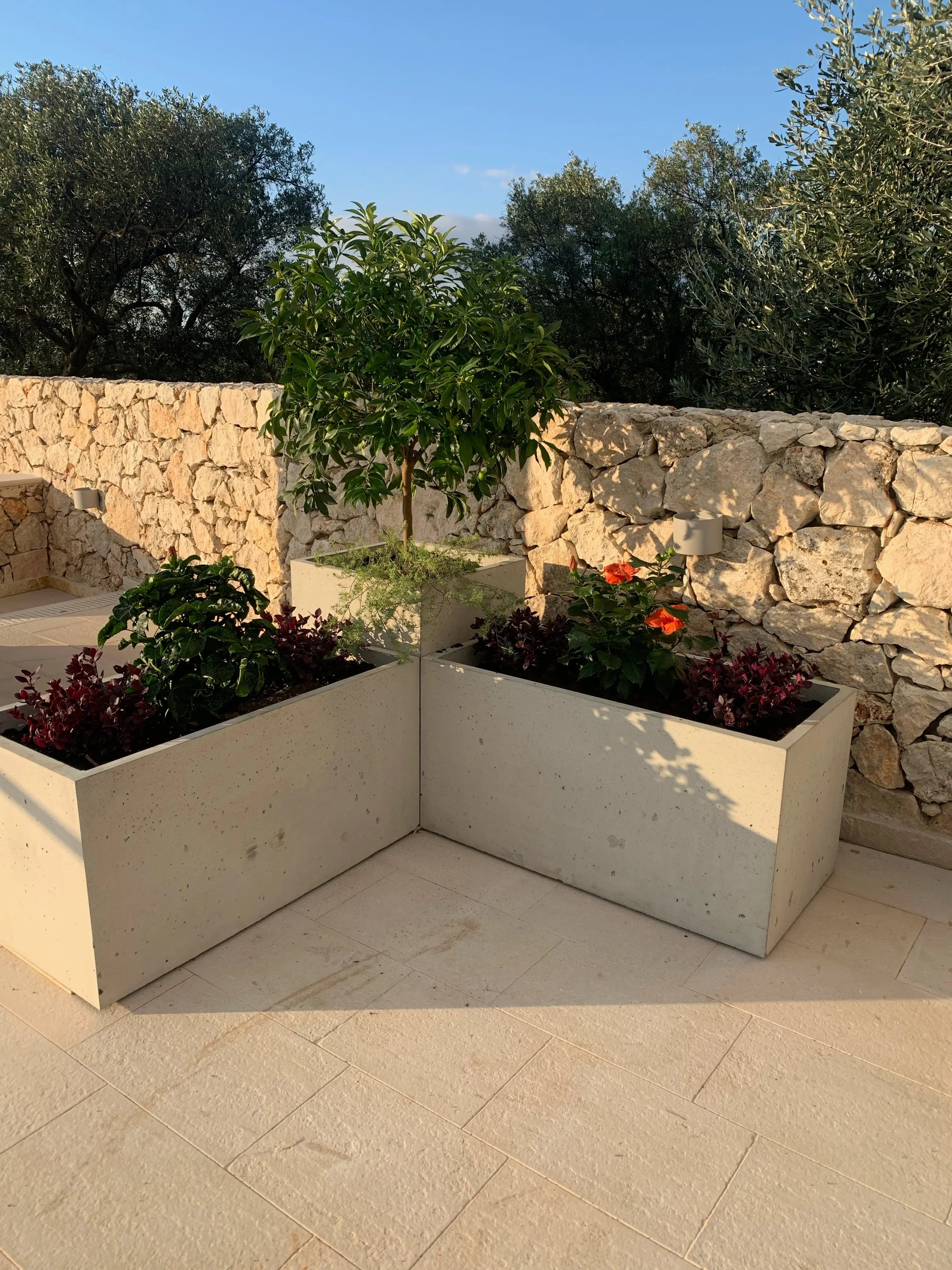 Outdoor Concrete Planters - Rectangle 50x120x50 cm composition in the backyard Decormania.eu