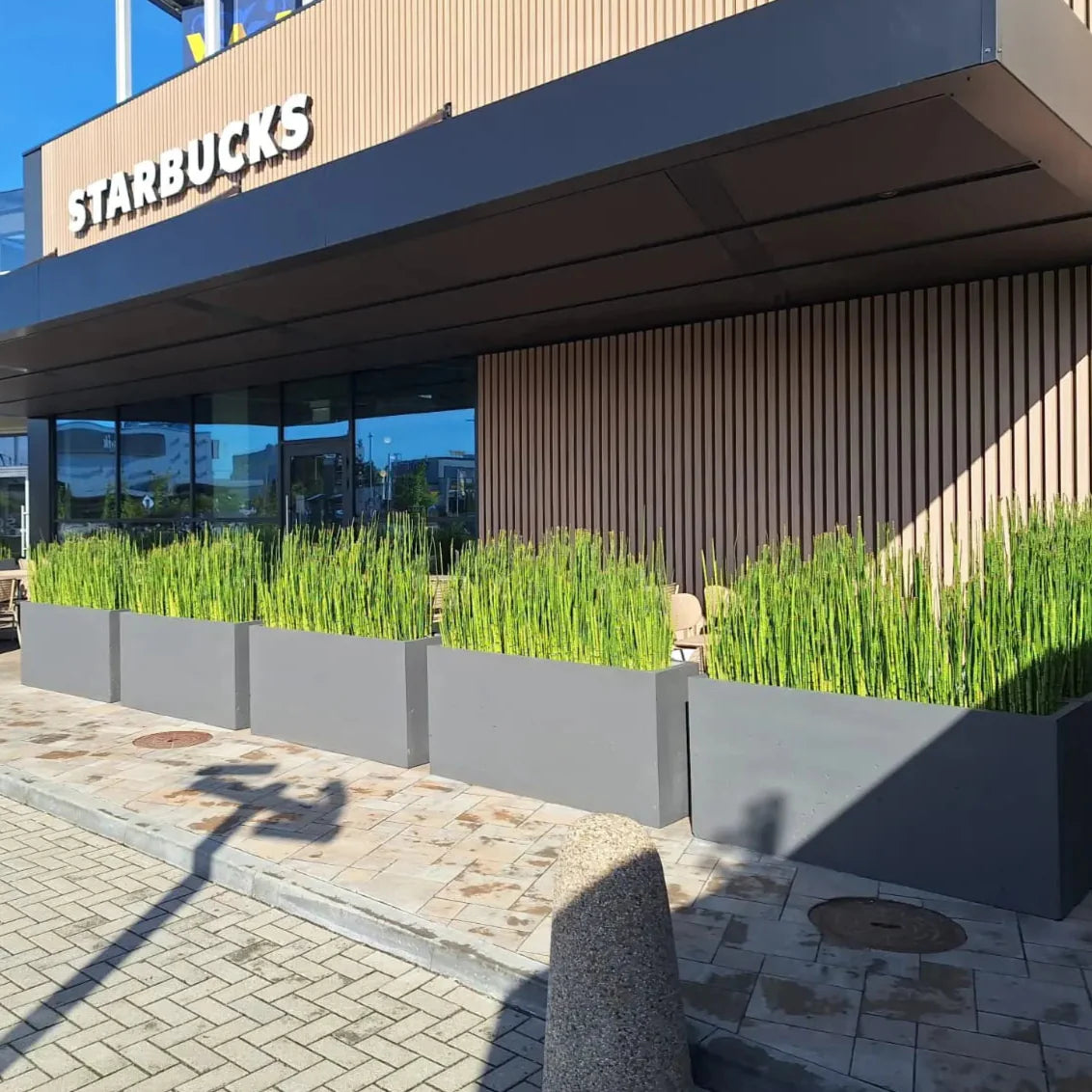 Outdoor Concrete Planters - Rectangle 50x120x50 cm in front of starbucks Decormania.eu