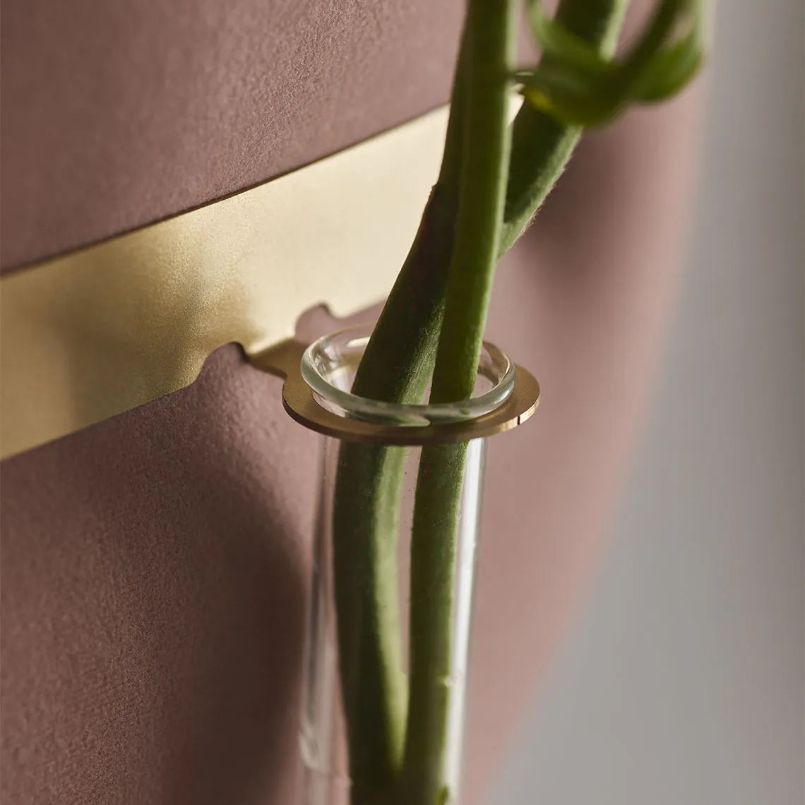 Padded Wall Boards Accessories - Decorative Strip 1 Gold closeup Docormania.eu