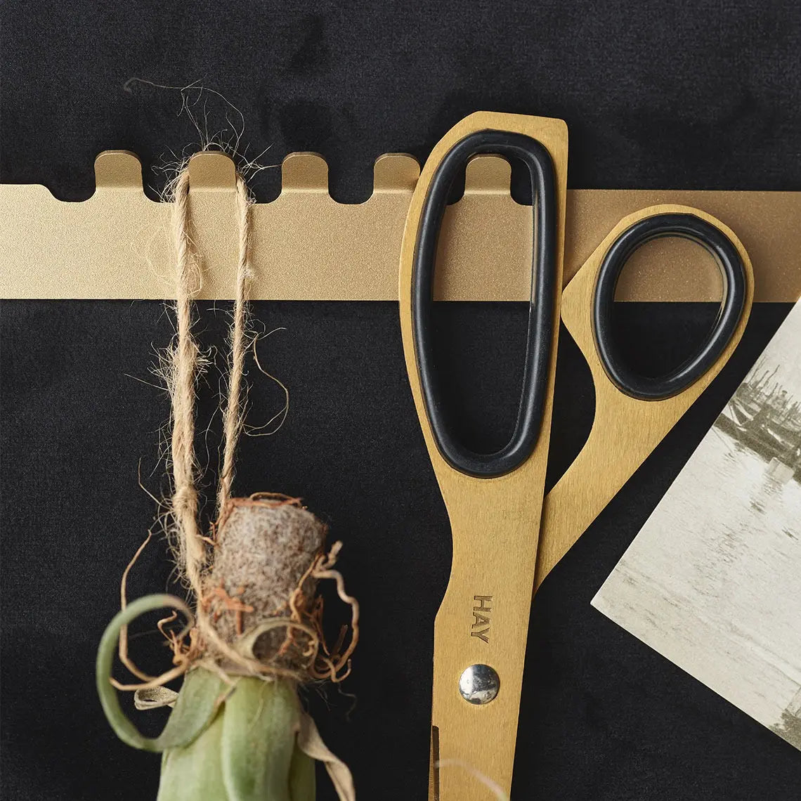 Padded Wall Boards Accessories - Decorative Strip 2 Gold on black panel closeup Docormania.eu