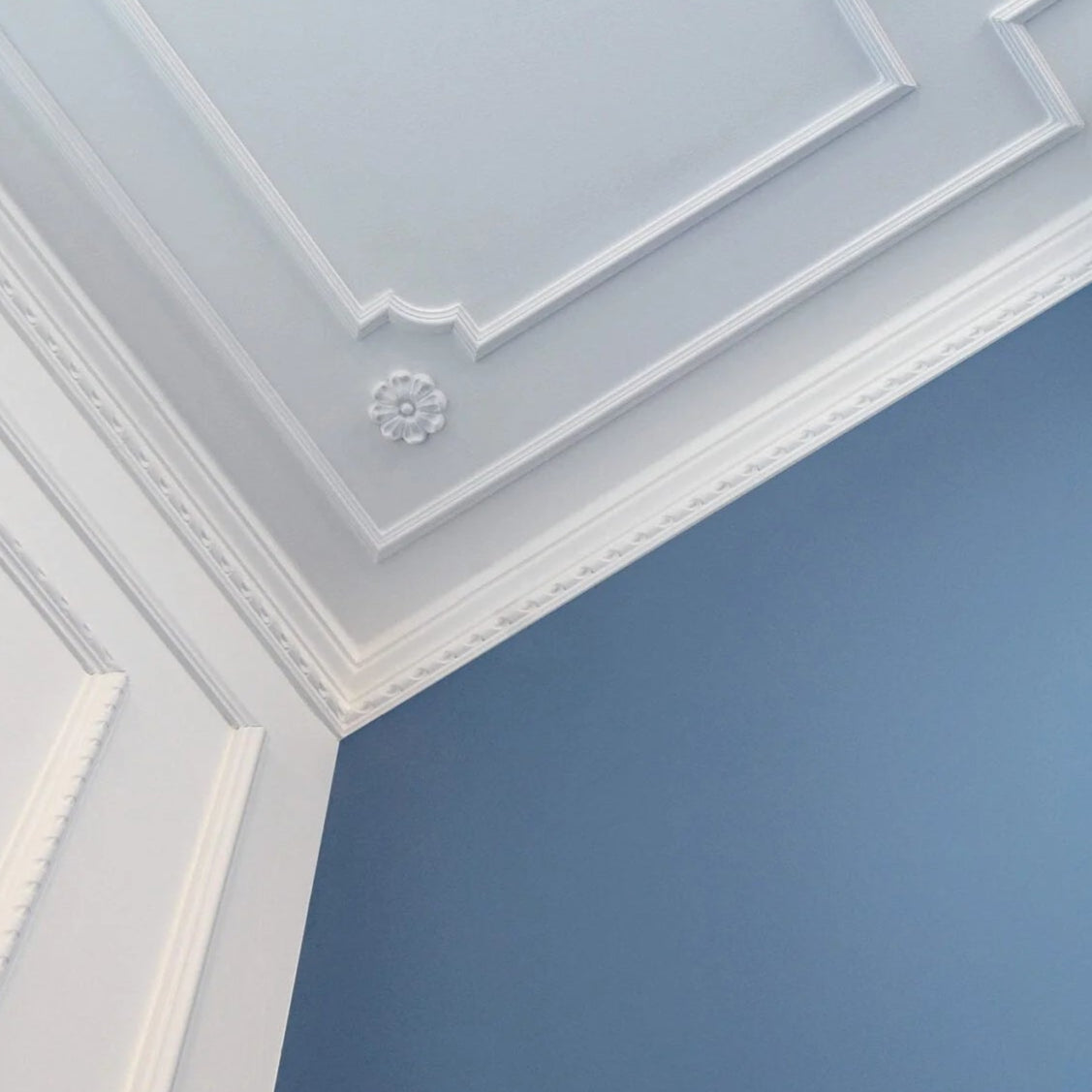 R17 ARSTYL Ceiling Rose on white colour ceiling DecorMania.eu