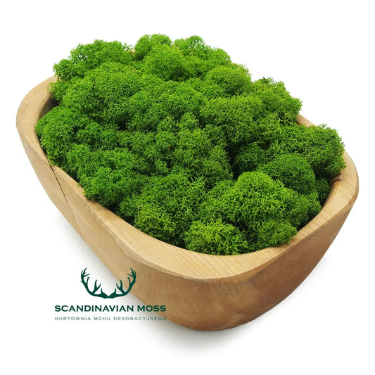 Reindeer Preserved Moss Wall Decor 4 kg in wooden bowl display on white background DecorMania.eu