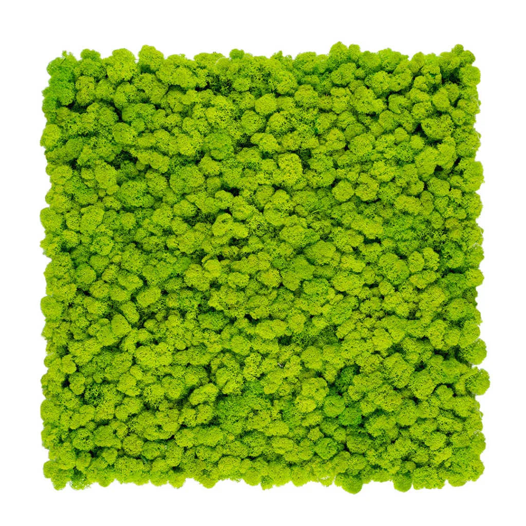 Reindeer Preserved Moss Wall Decor 4 kg light green swatch DecorMania.eu