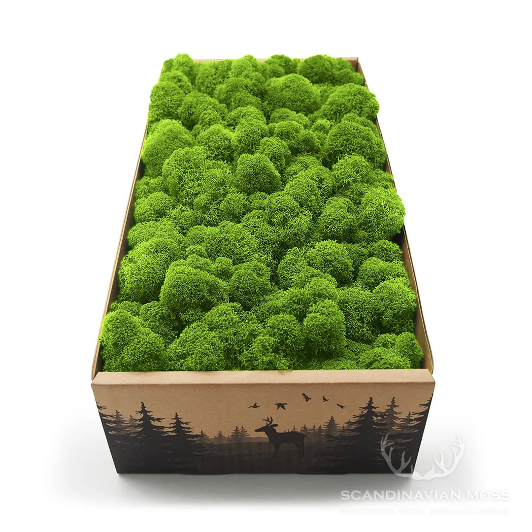 Reindeer Preserved Moss Wall Decor on white background DecorMania.eu