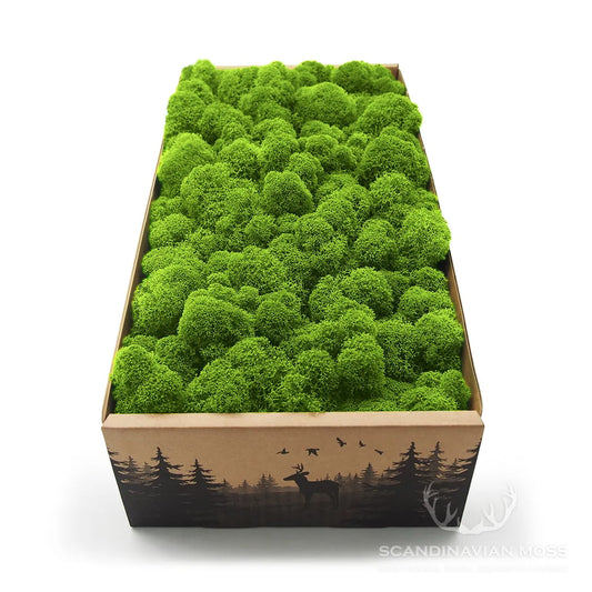 Reindeer Preserved Moss Wall Decor on white background DecorMania.eu