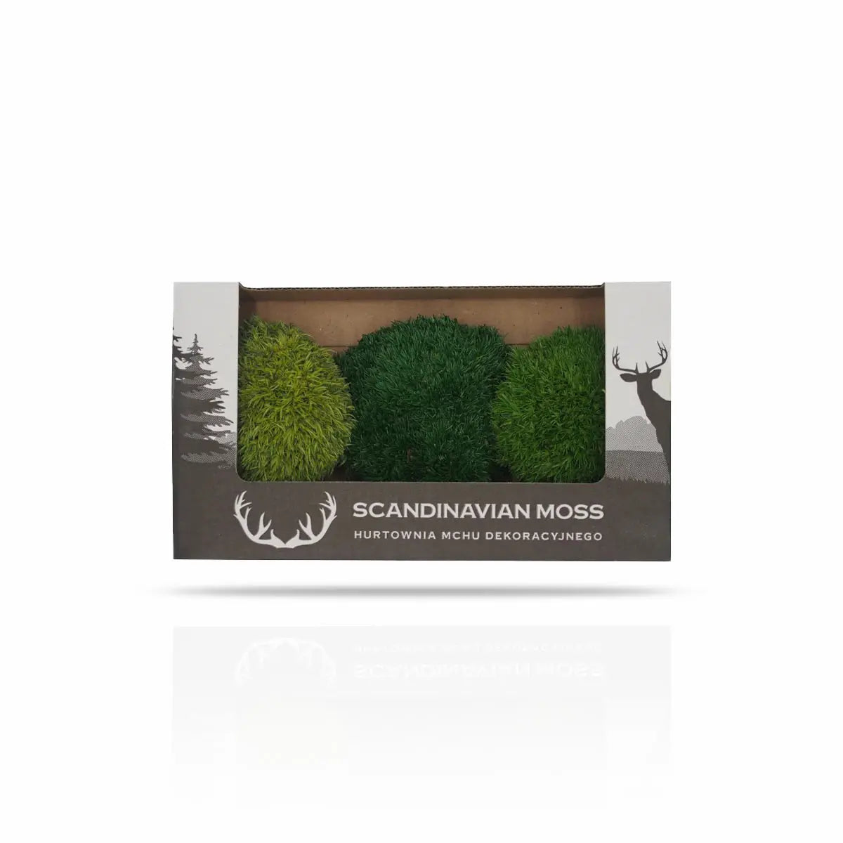 Scandinavian Moss sample preserved moss cushion box on white backgound