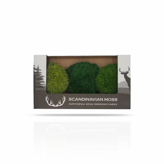 Scandinavian Moss sample preserved moss cushion box on white backgound