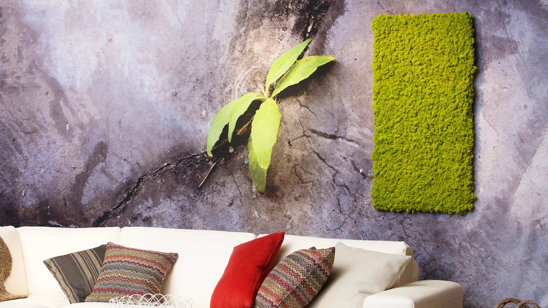 frameless moss wall panels after effect on grey wall