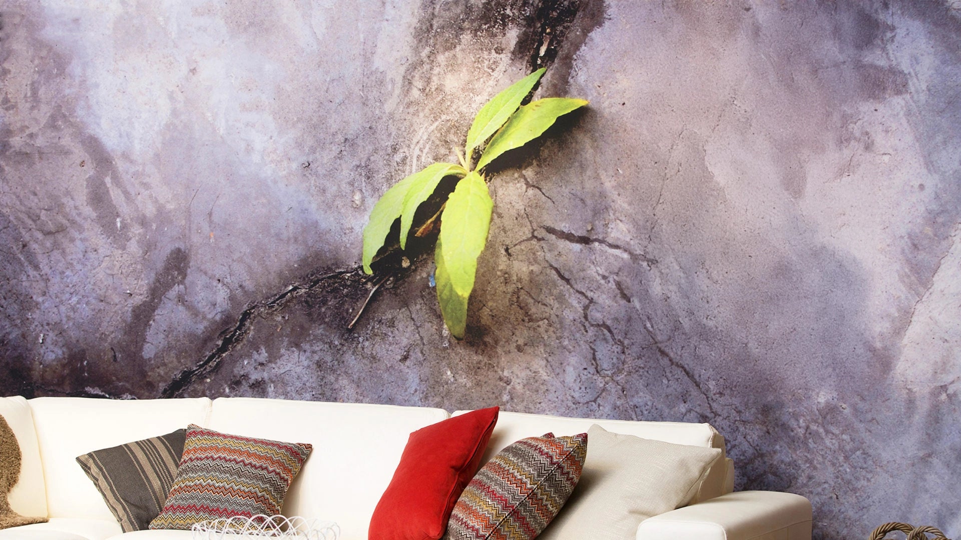 frameless moss wall panels before effect on grey wall