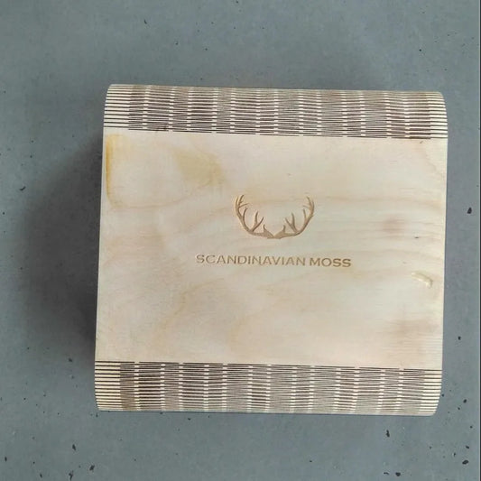 Scandinavian Moss sample preserved moss reindeer box
