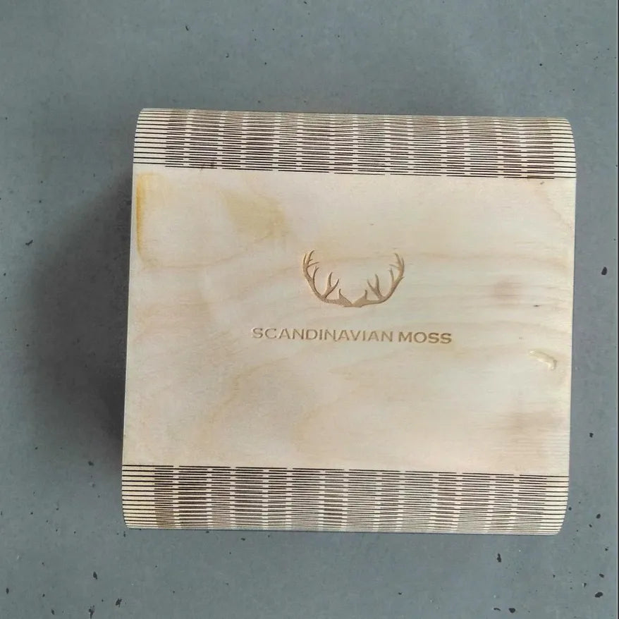 Scandinavian Moss sample preserved moss reindeer box