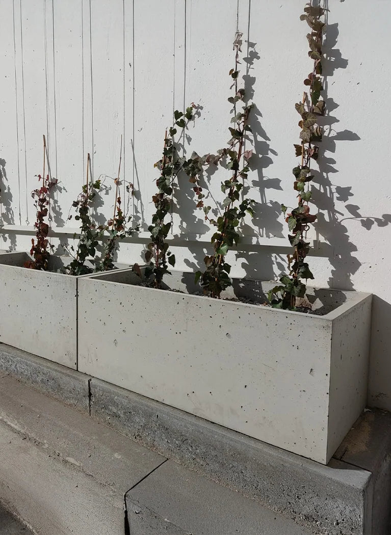 Outdoor Concrete Planters in front of the white wall Decormania eu