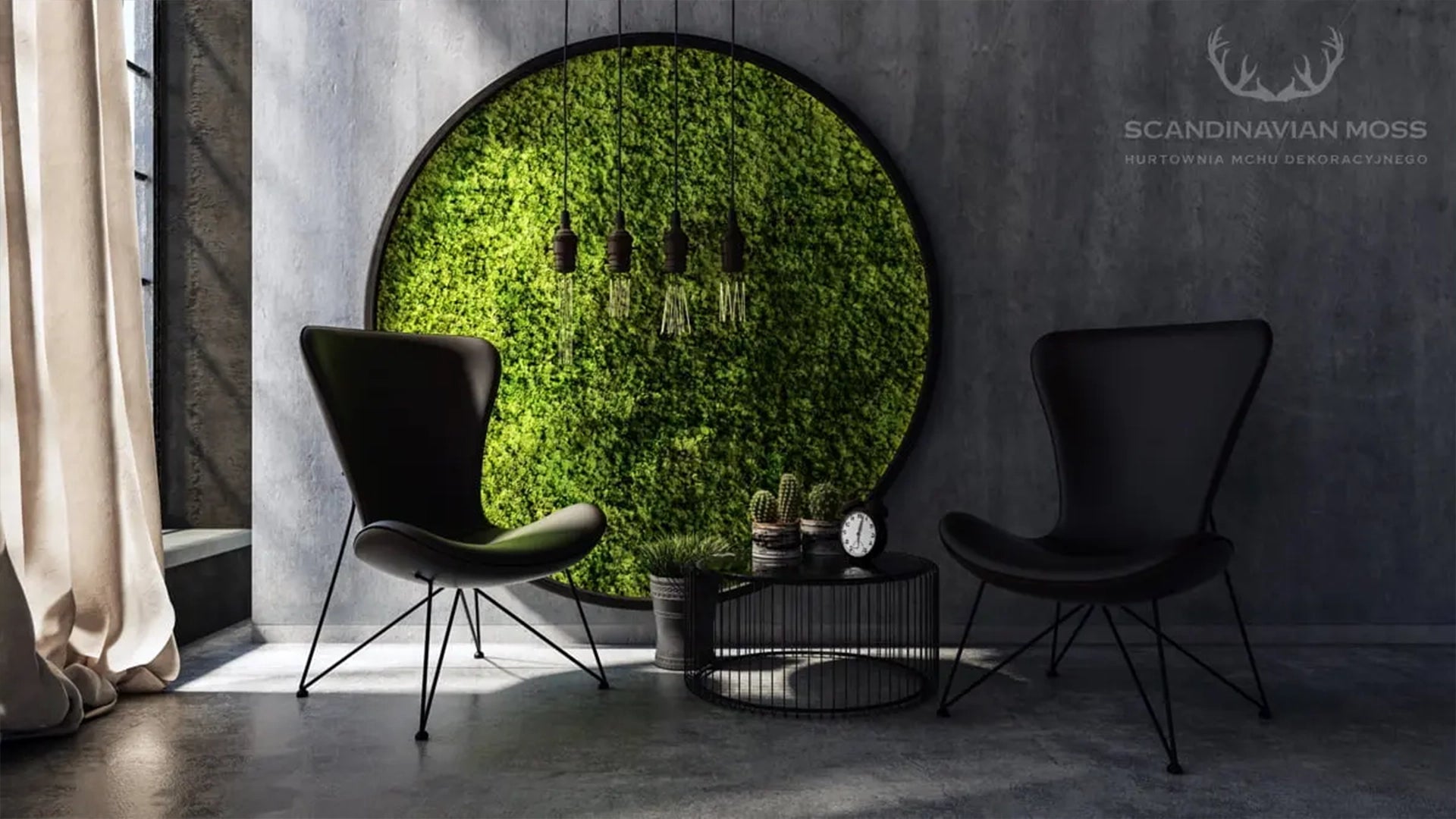 Frameless Reindeer Moss Wall Panels Preserved Moss wall decor Round in grey modern interior DecorMania.eu