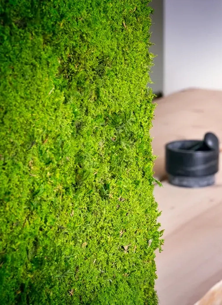 Frameless Flat Moss Wall Panels Square  Preserved Moss wall decor closeup on white background DecorMania.eu