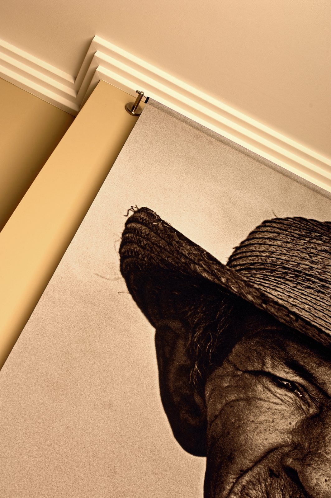 Z52 ARSTYL® 2M COVING, [shop-name]